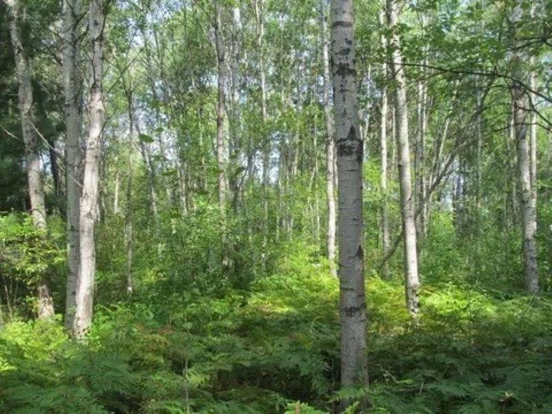 0 M-55 Property Photo 7