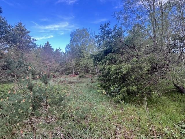 0 M-55 Property Photo 8