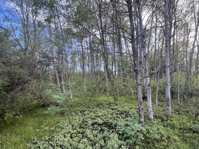 0 M-55 Property Photo 10