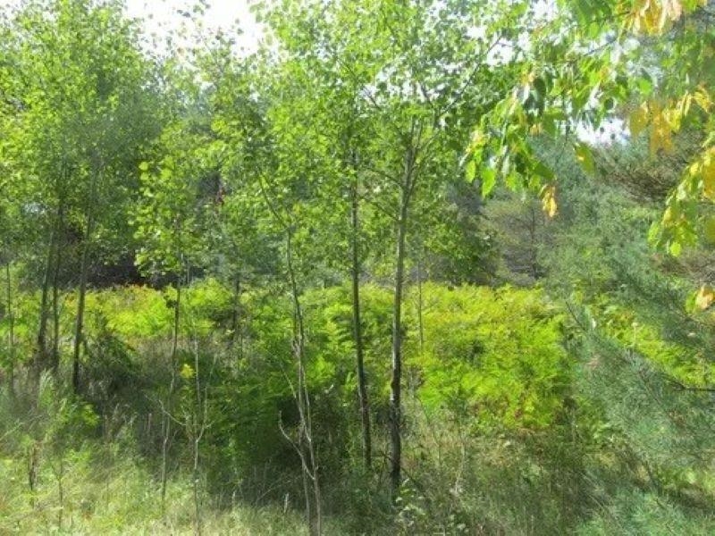 0 M-55 Property Photo 11