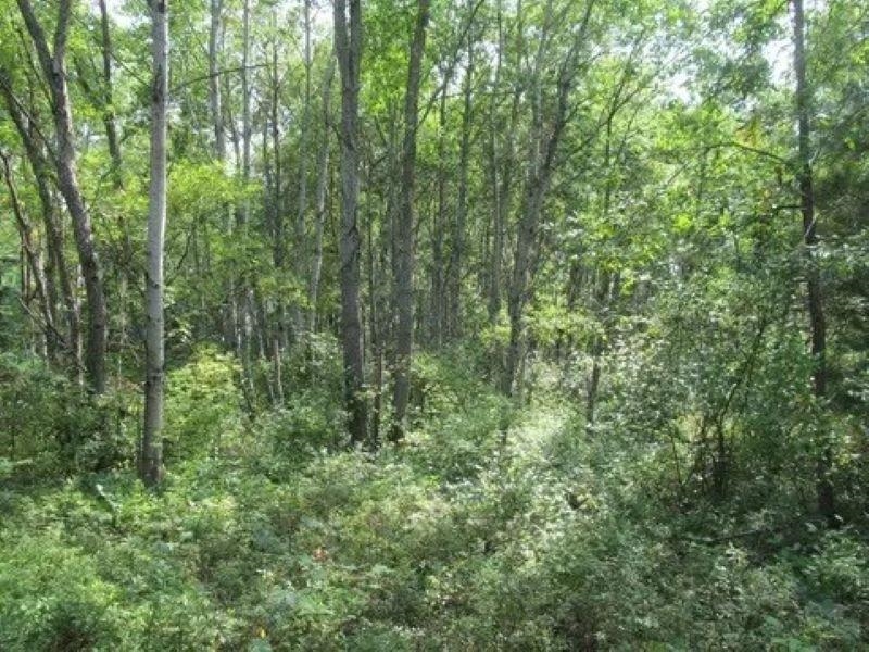 0 M-55 Property Photo 12