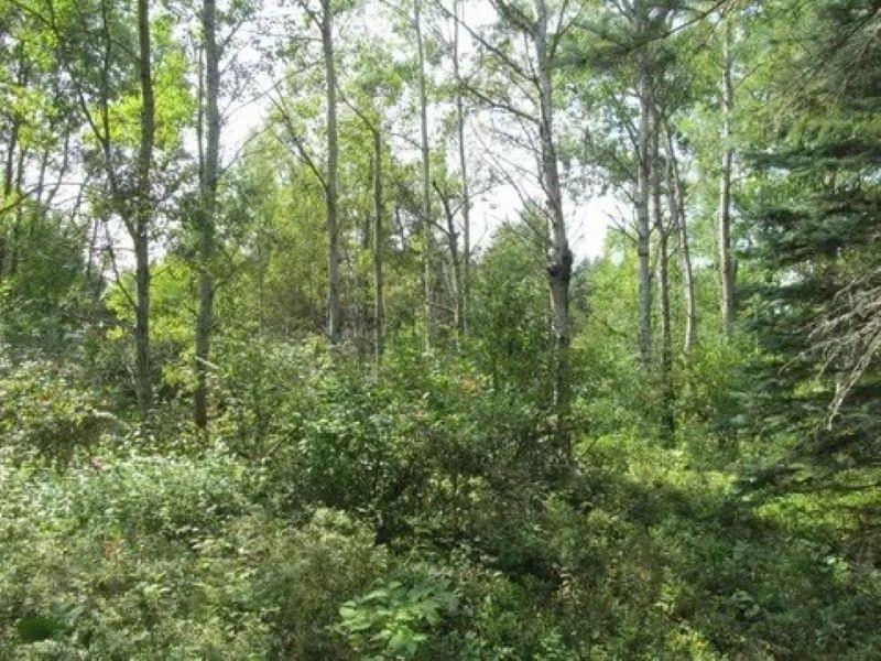 0 M-55 Property Photo 13