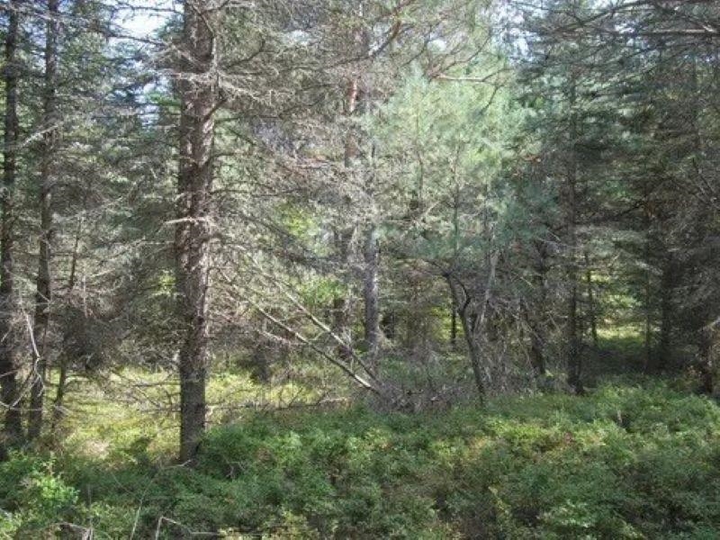 0 M-55 Property Photo 14