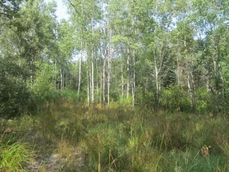 0 M-55 Property Photo 15