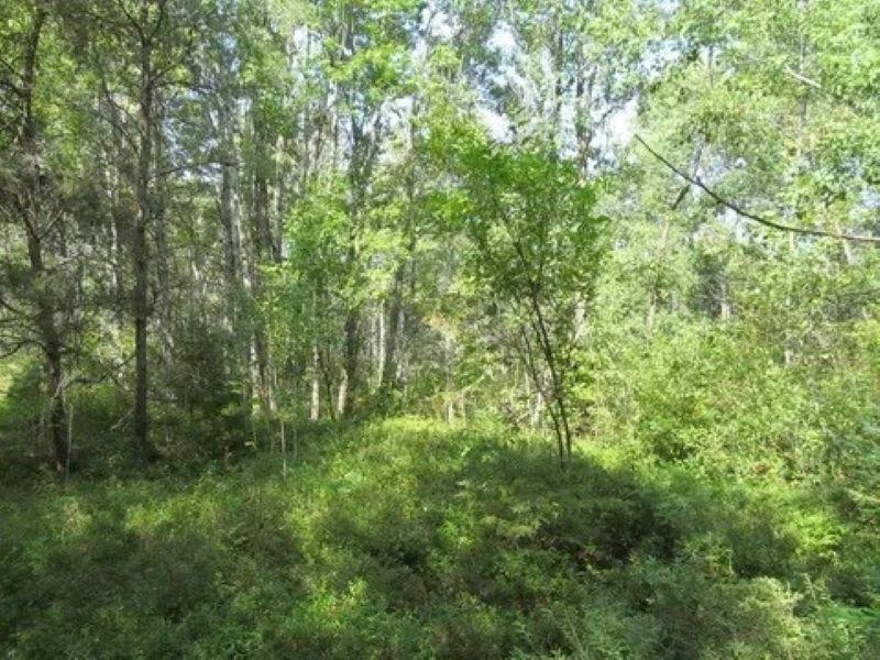 0 M-55 Property Photo 16