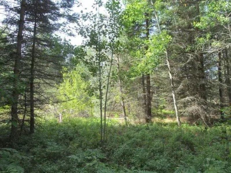0 M-55 Property Photo 17