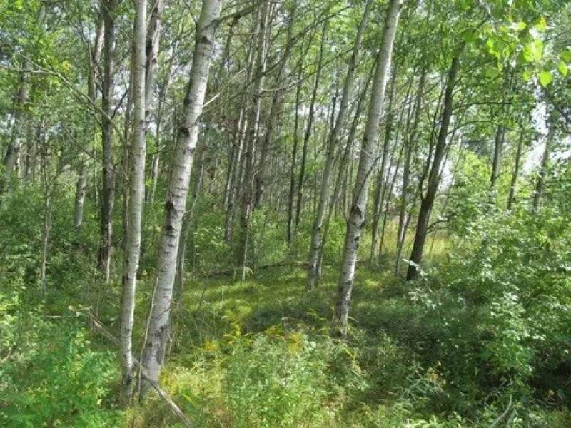 0 M-55 Property Photo 18