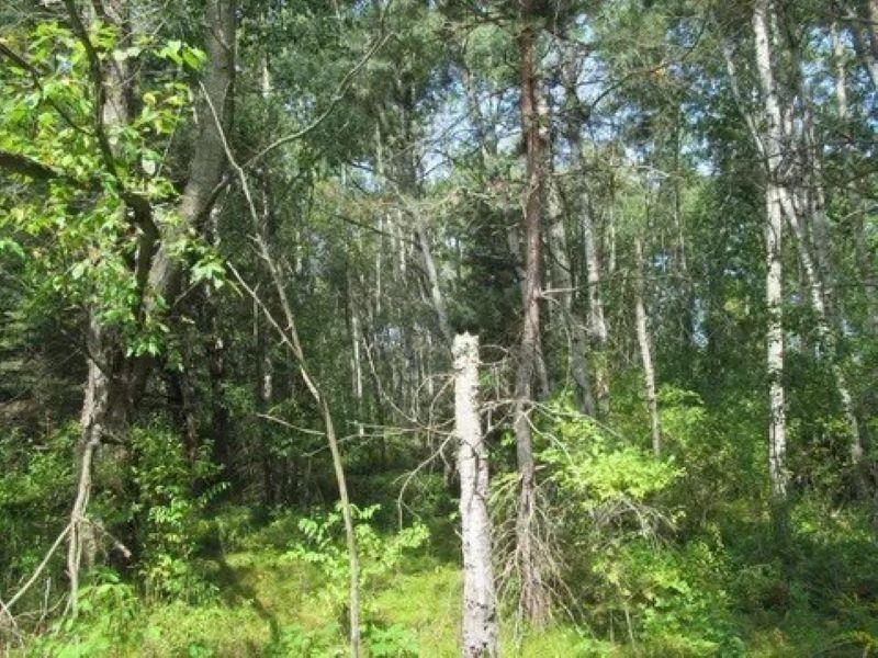 0 M-55 Property Photo 19