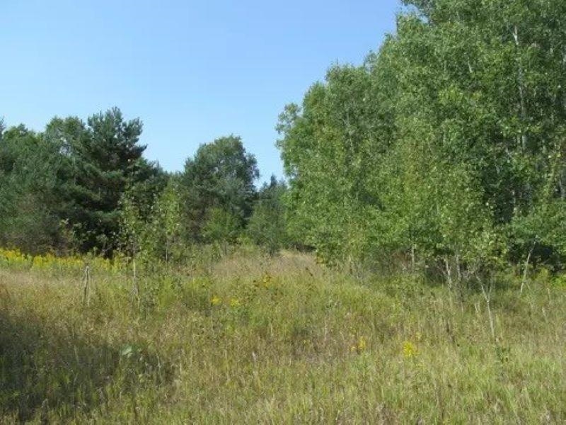 0 M-55 Property Photo 20