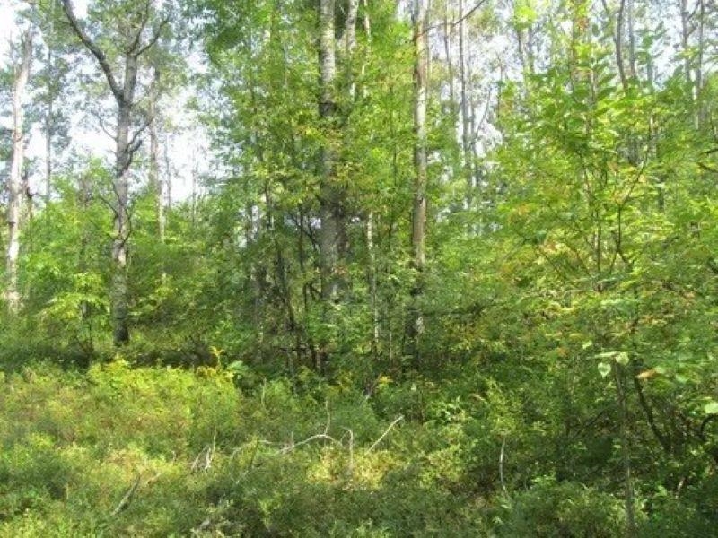 0 M-55 Property Photo 21