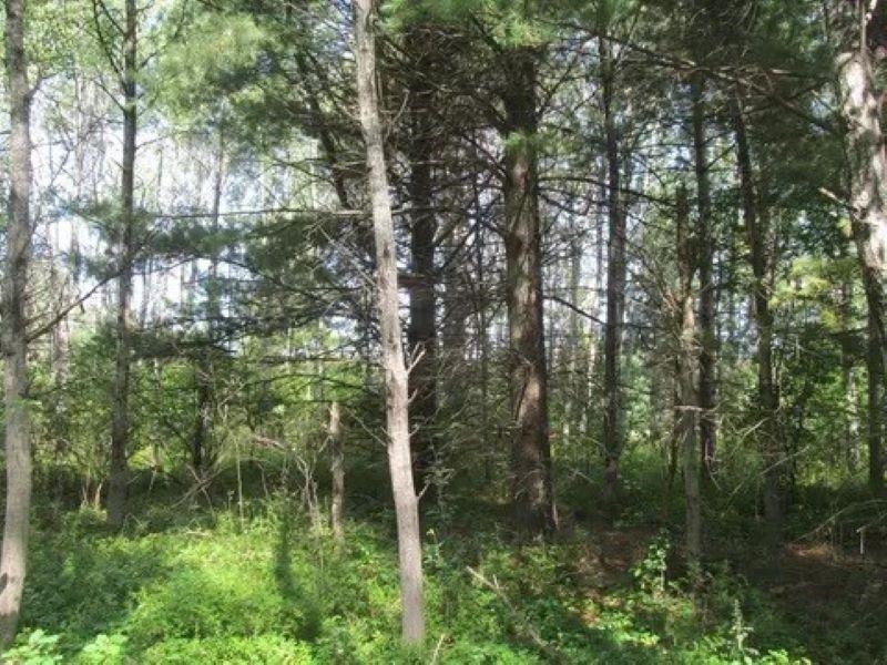0 M-55 Property Photo 22
