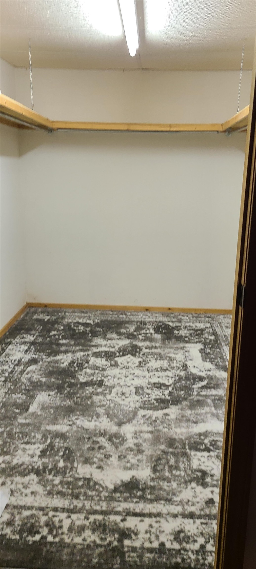 4534 Oakridge Drive Property Photo 50