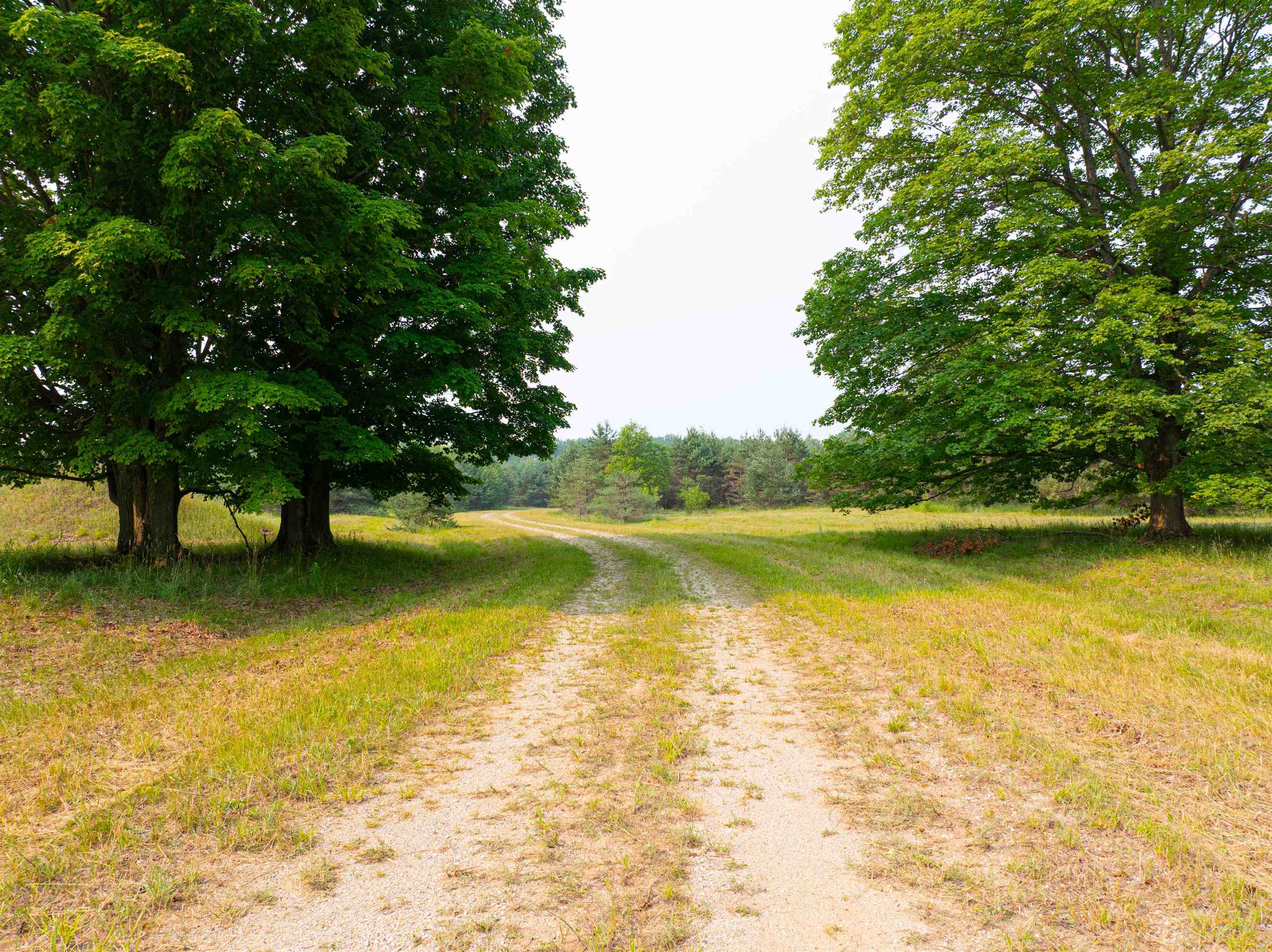 Getaway Trail Property Photo 10