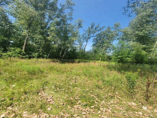 2615 Shaffer Road Property Photo 2