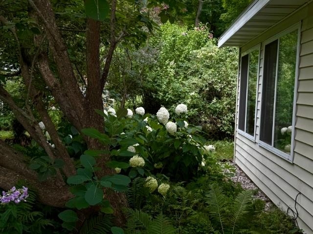4162 Chrystal Street Property Photo 4