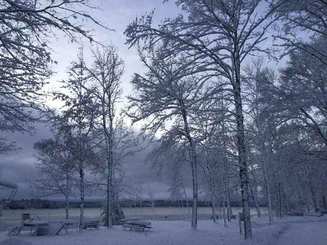 4162 Chrystal Street Property Photo 83