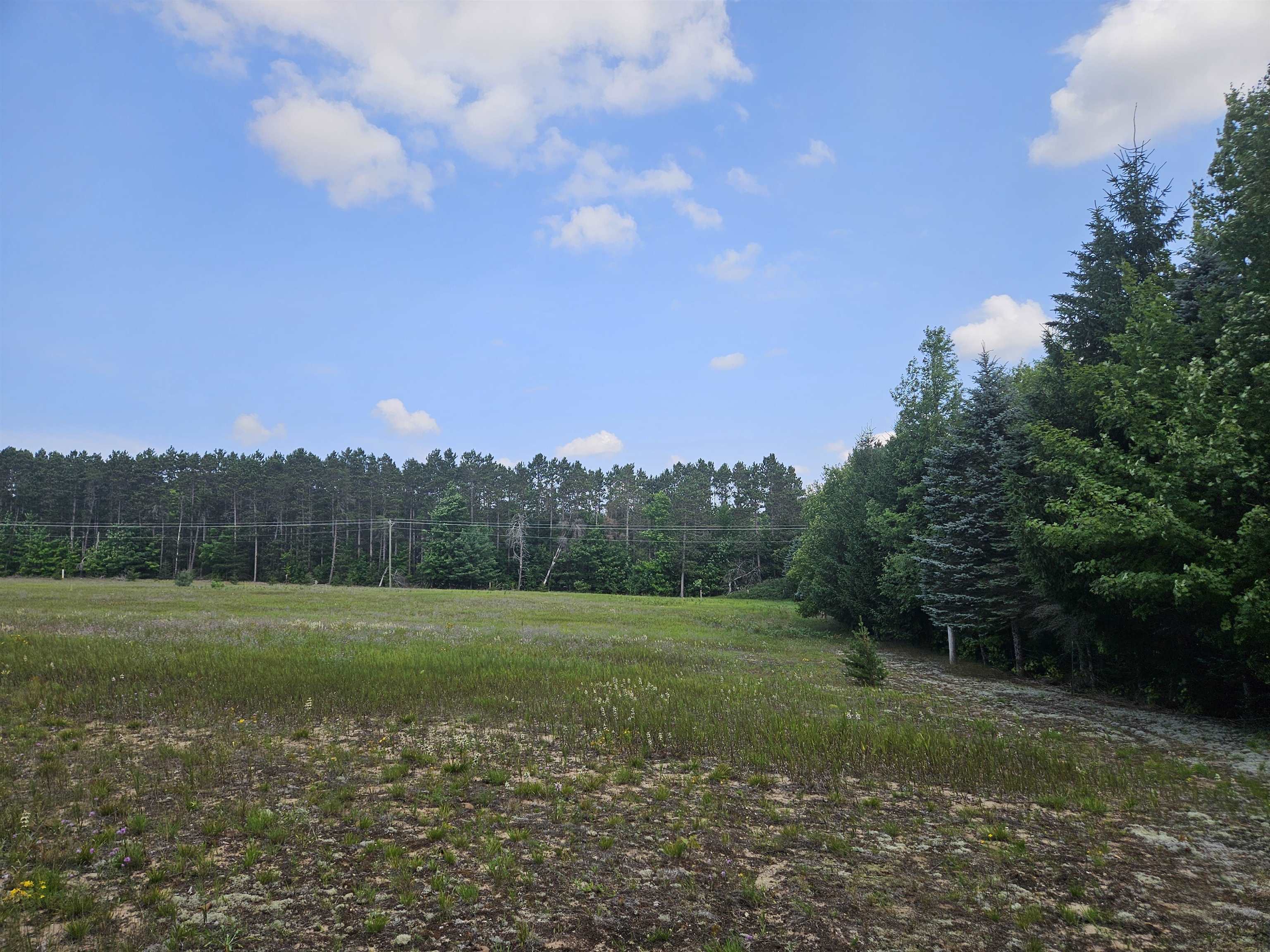 19172 Cedar Run Road