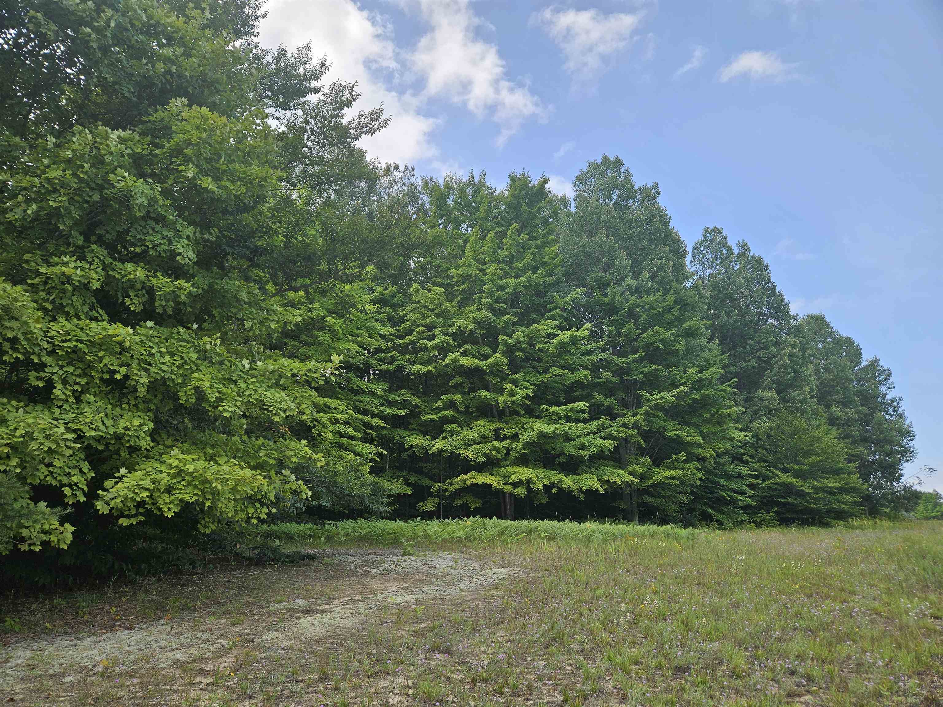 19172 Cedar Run Road Property Photo 2