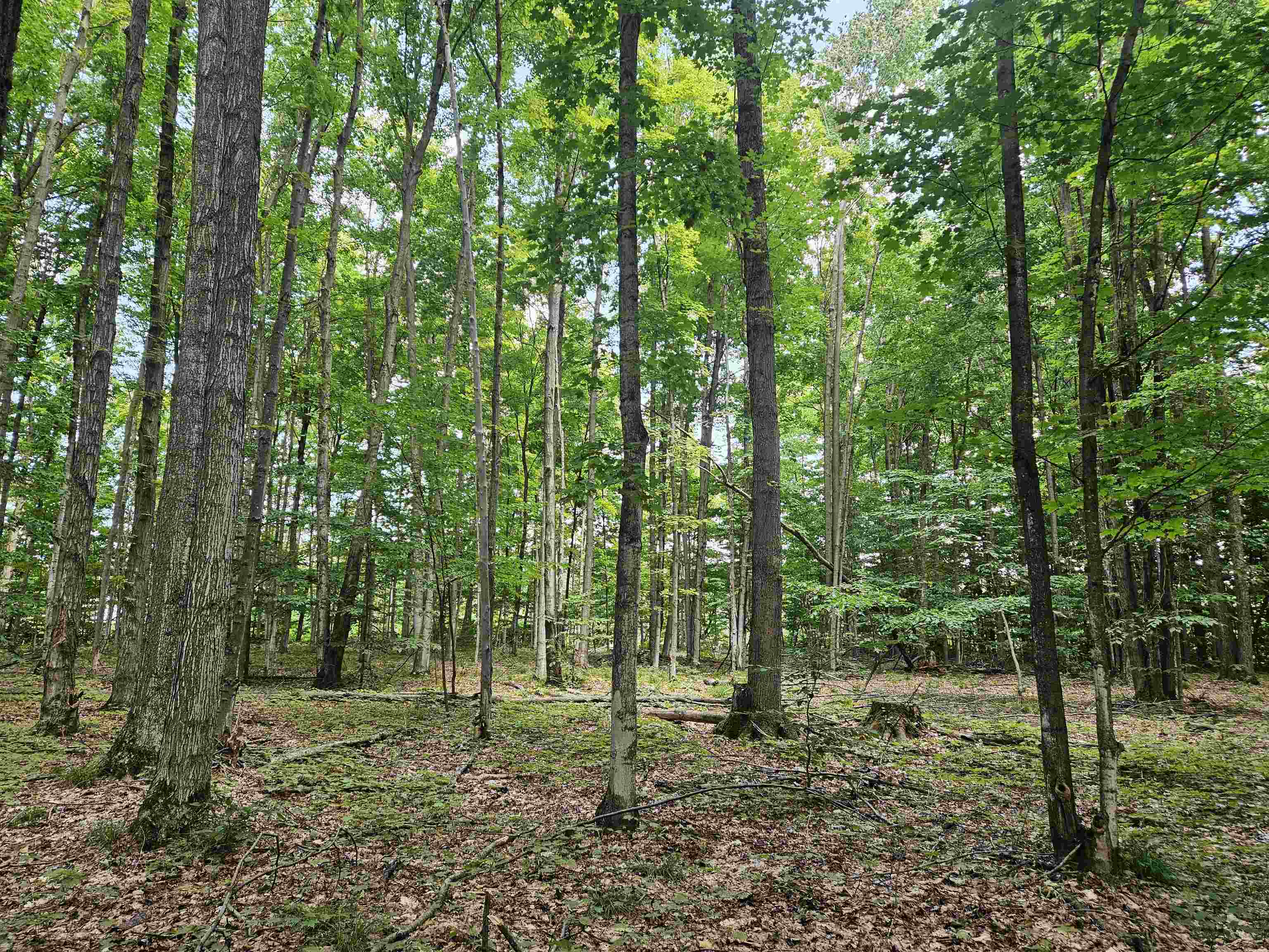 19172 Cedar Run Road Property Photo 3