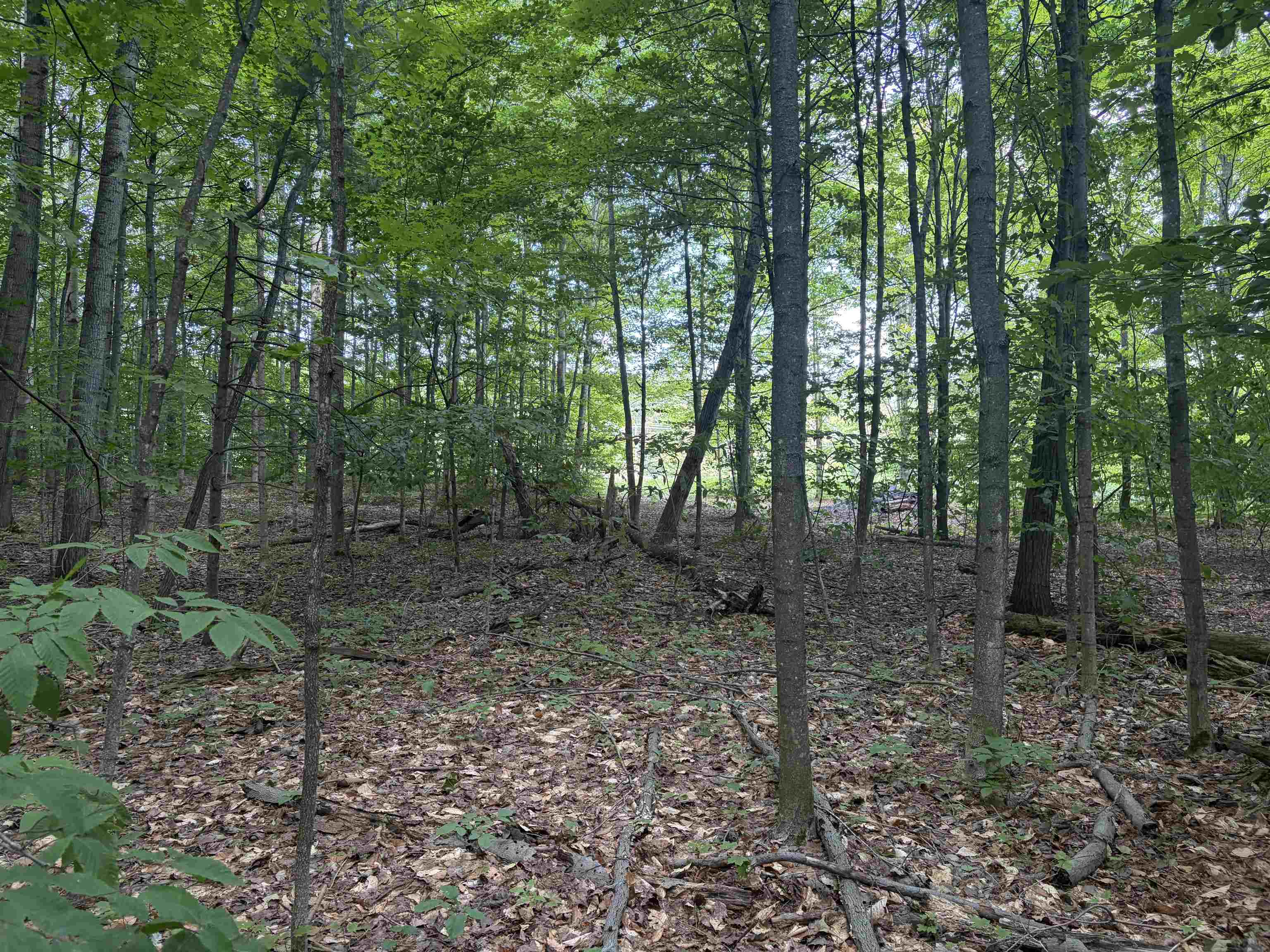 19172 Cedar Run Road Property Photo 4