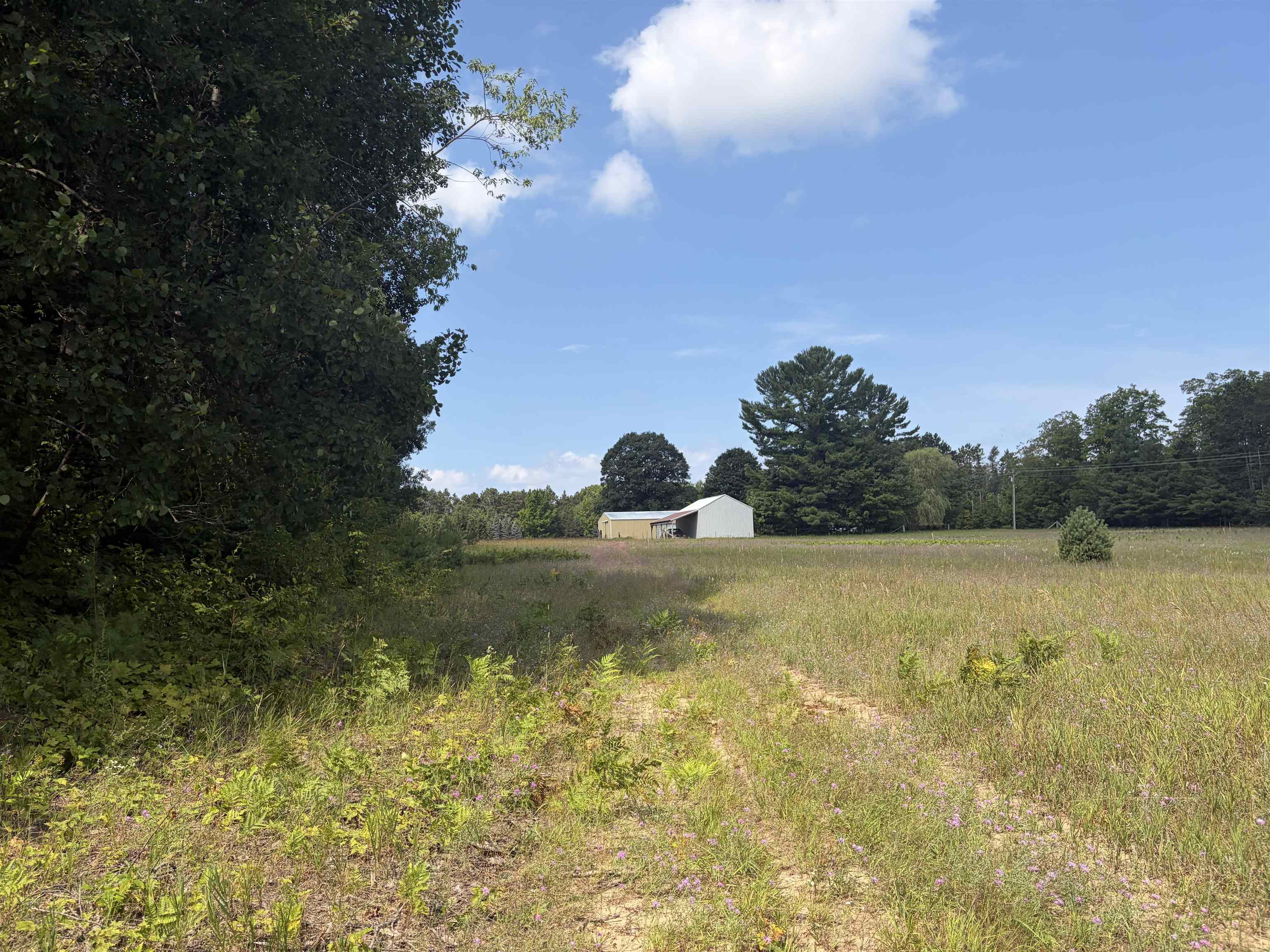 19172 Cedar Run Road Property Photo 6
