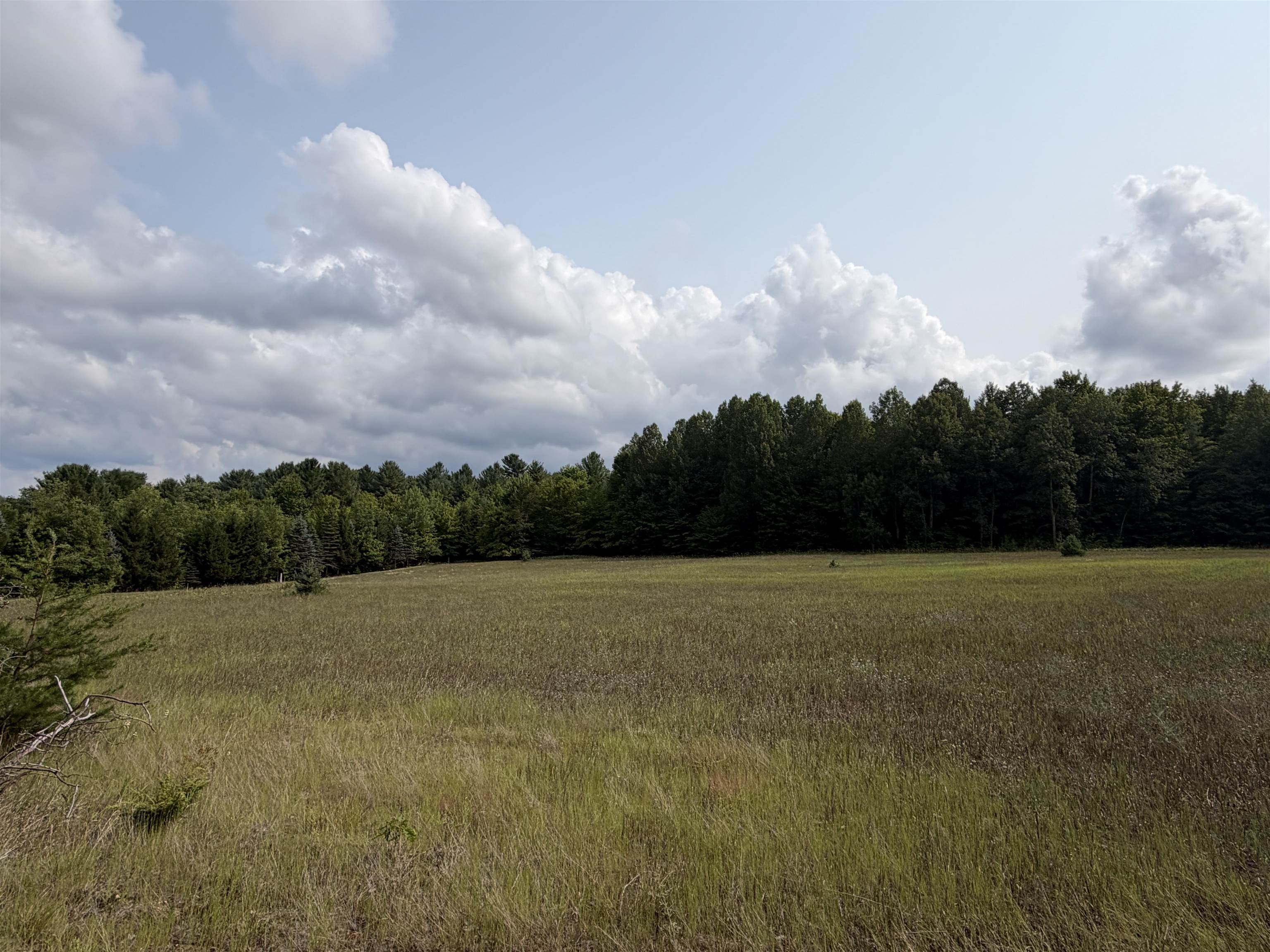 19172 Cedar Run Road Property Photo 8