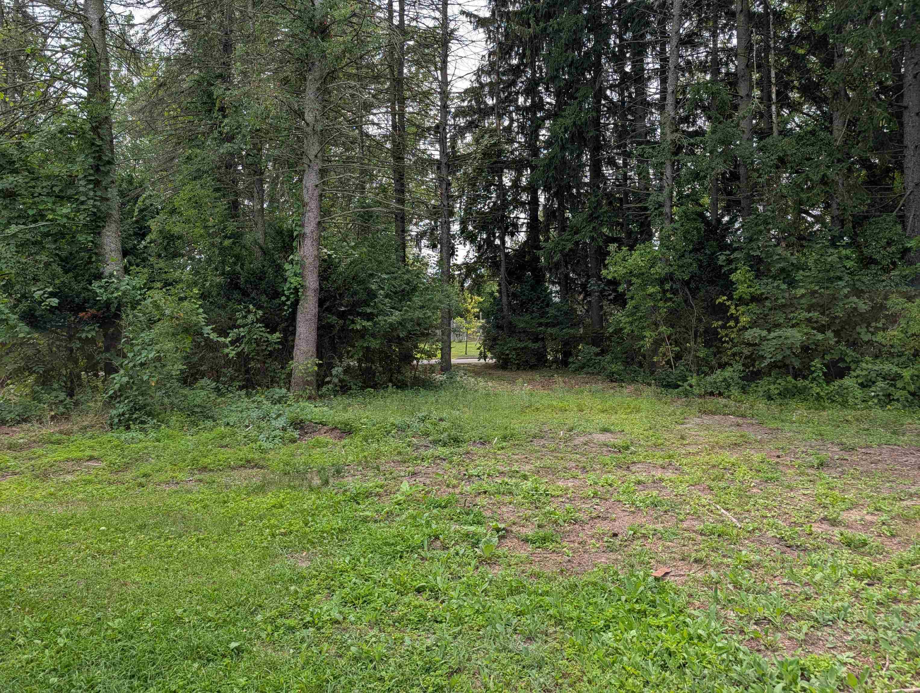 229 Water Street Property Photo 35
