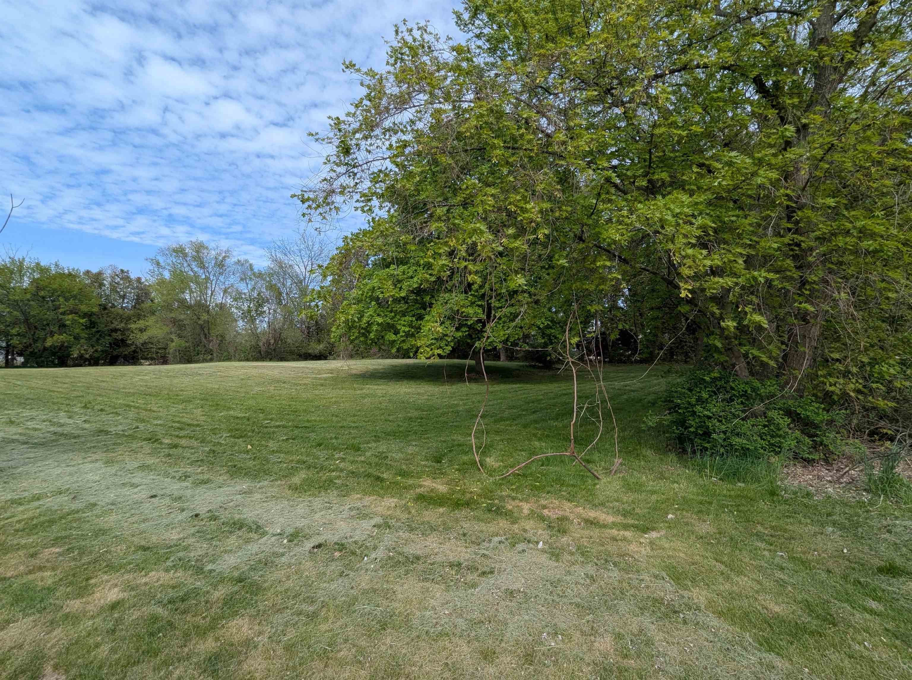 229 Water Street Property Photo 49