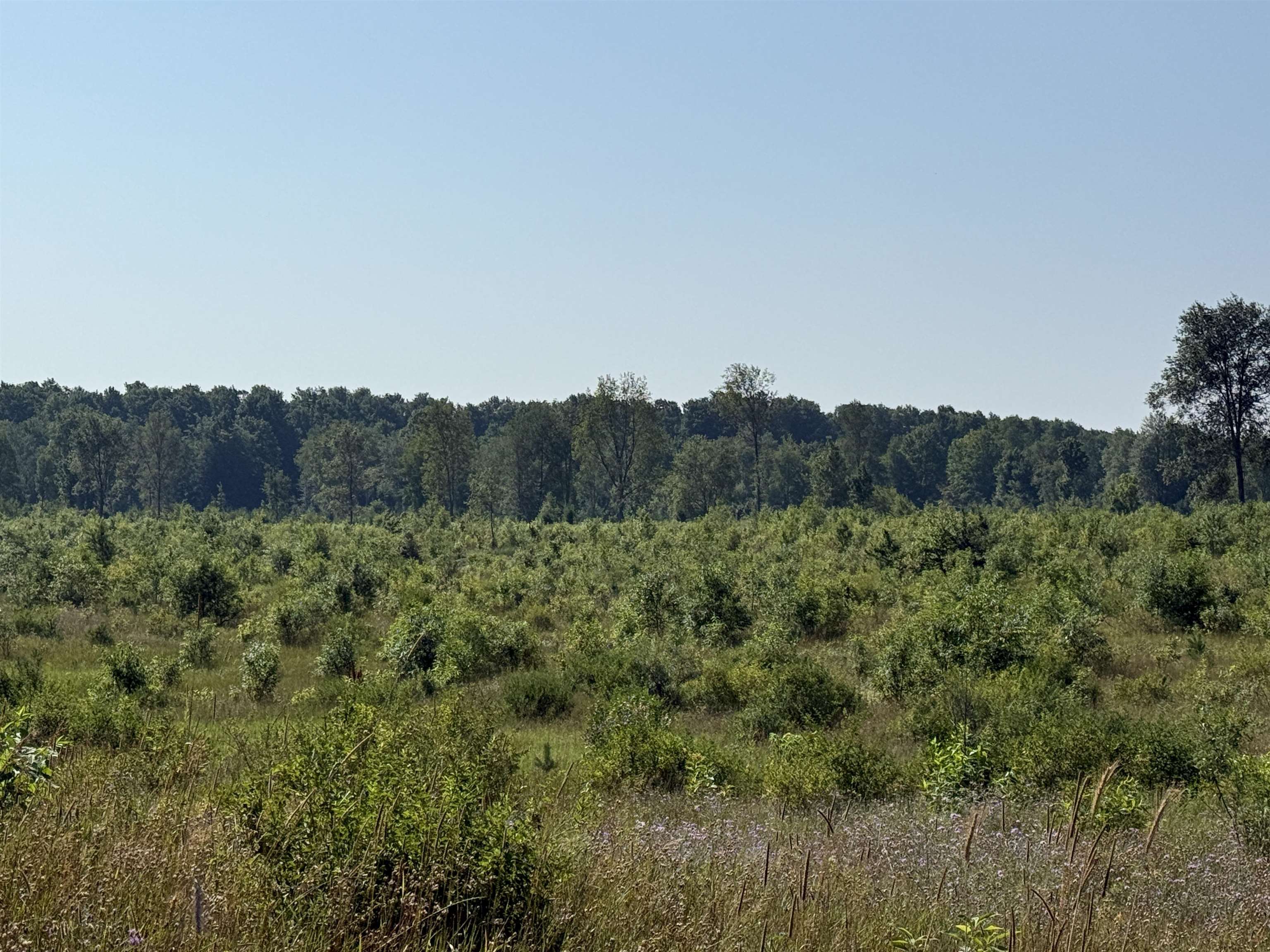 Parcel A 1 E Kasson Road Property Photo 3