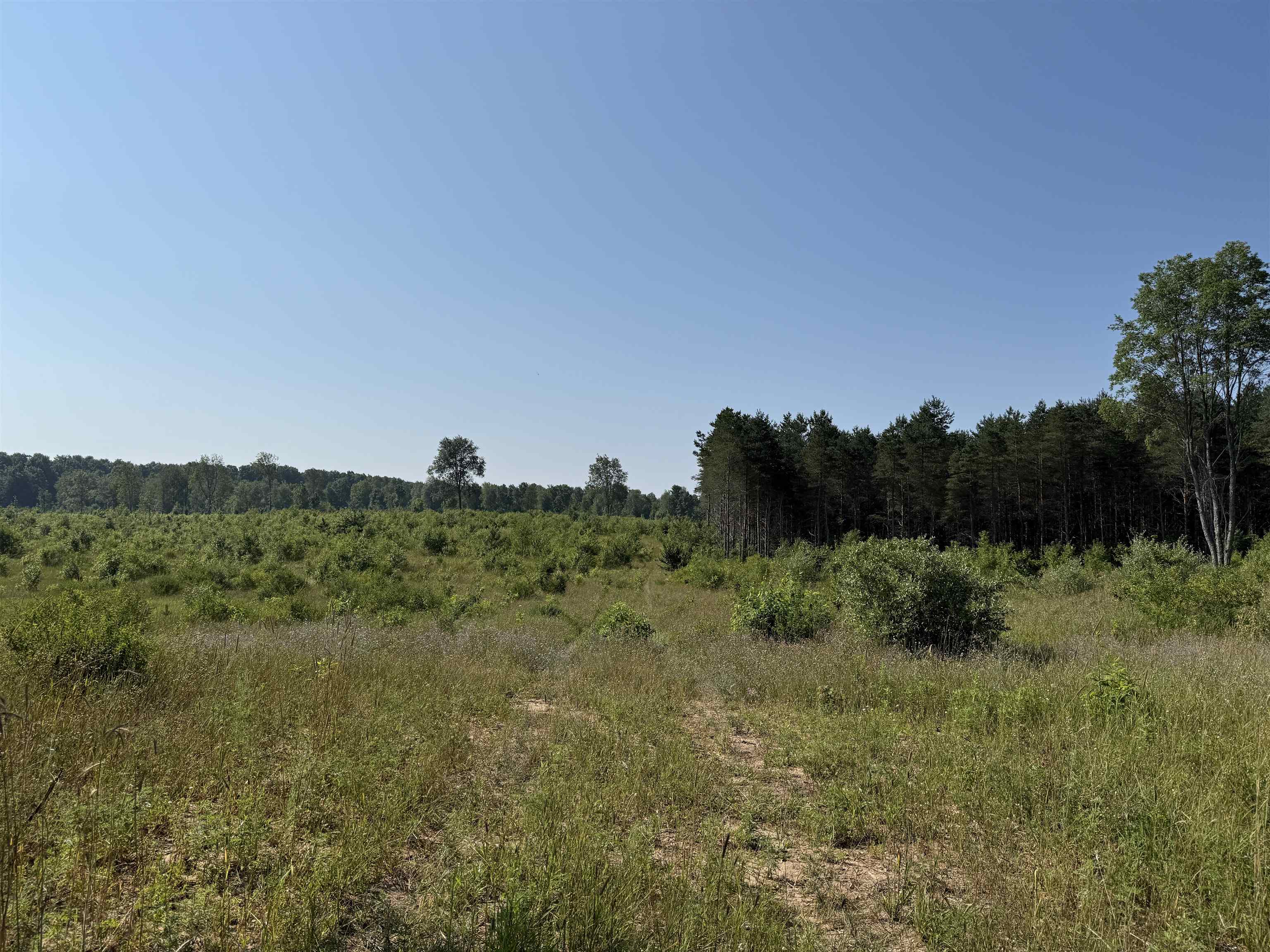 Parcel A 1 E Kasson Road Property Photo 4