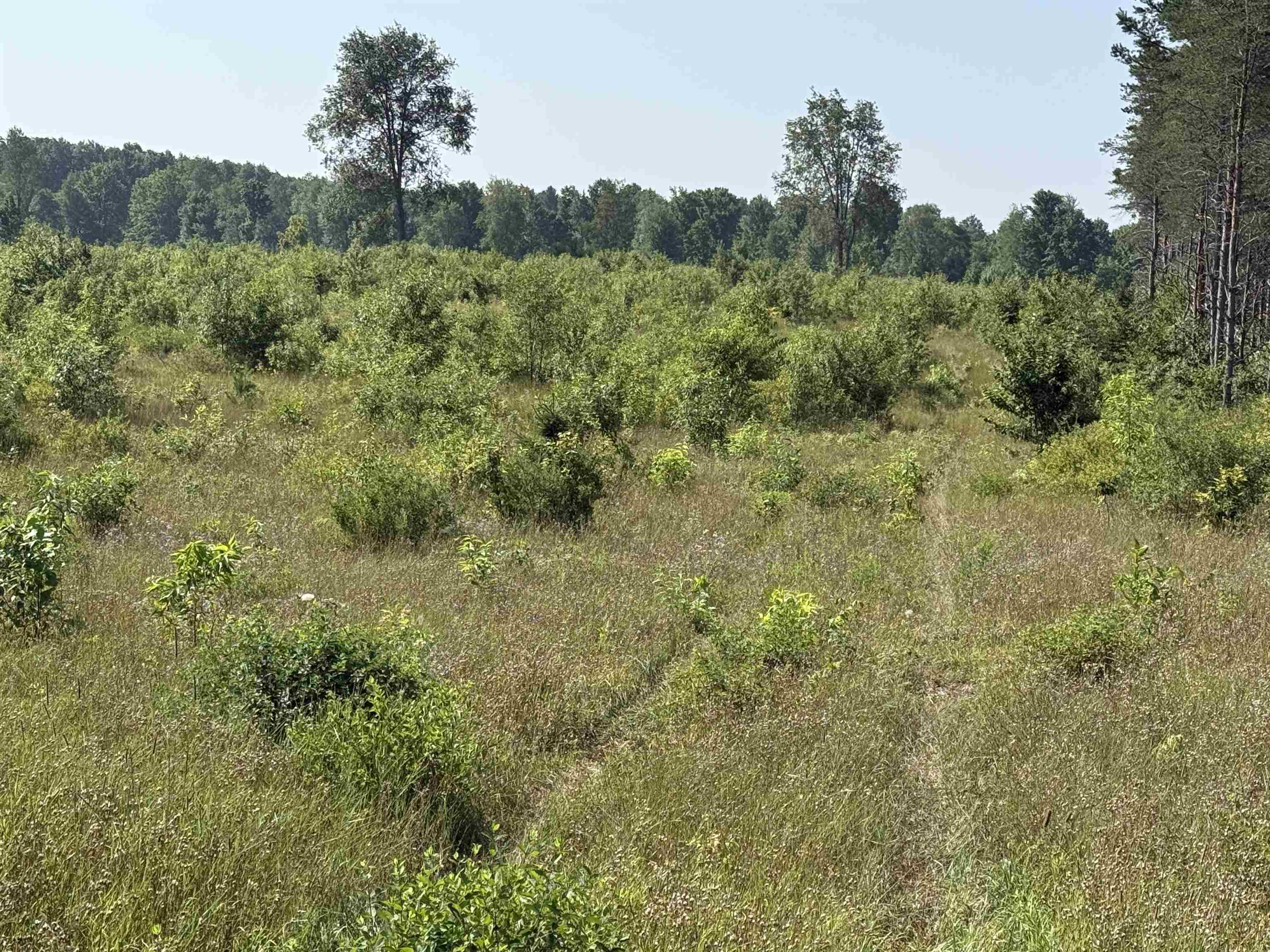 Parcel A 1 E Kasson Road Property Photo 5