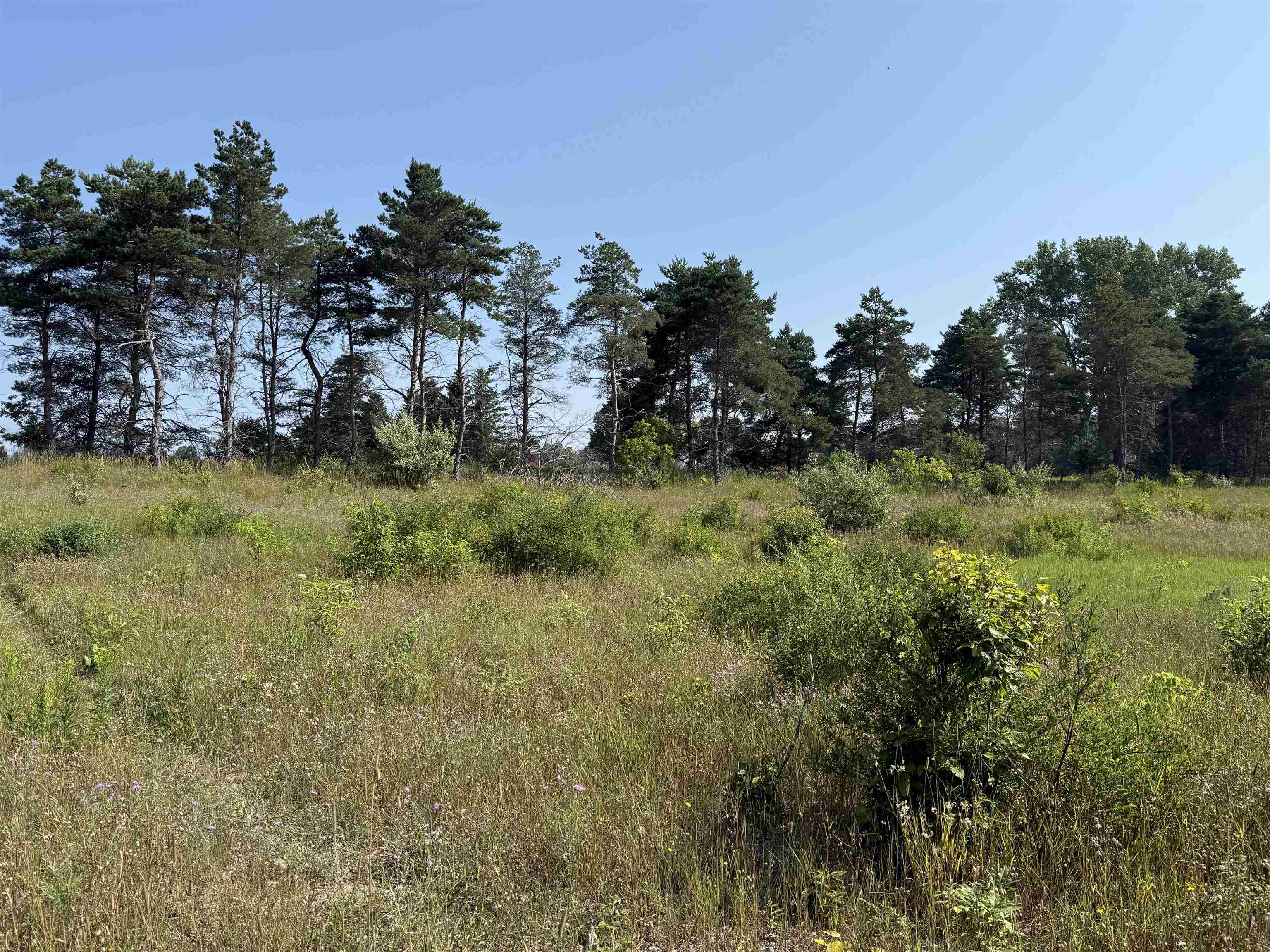 Parcel A 1 E Kasson Road Property Photo 7