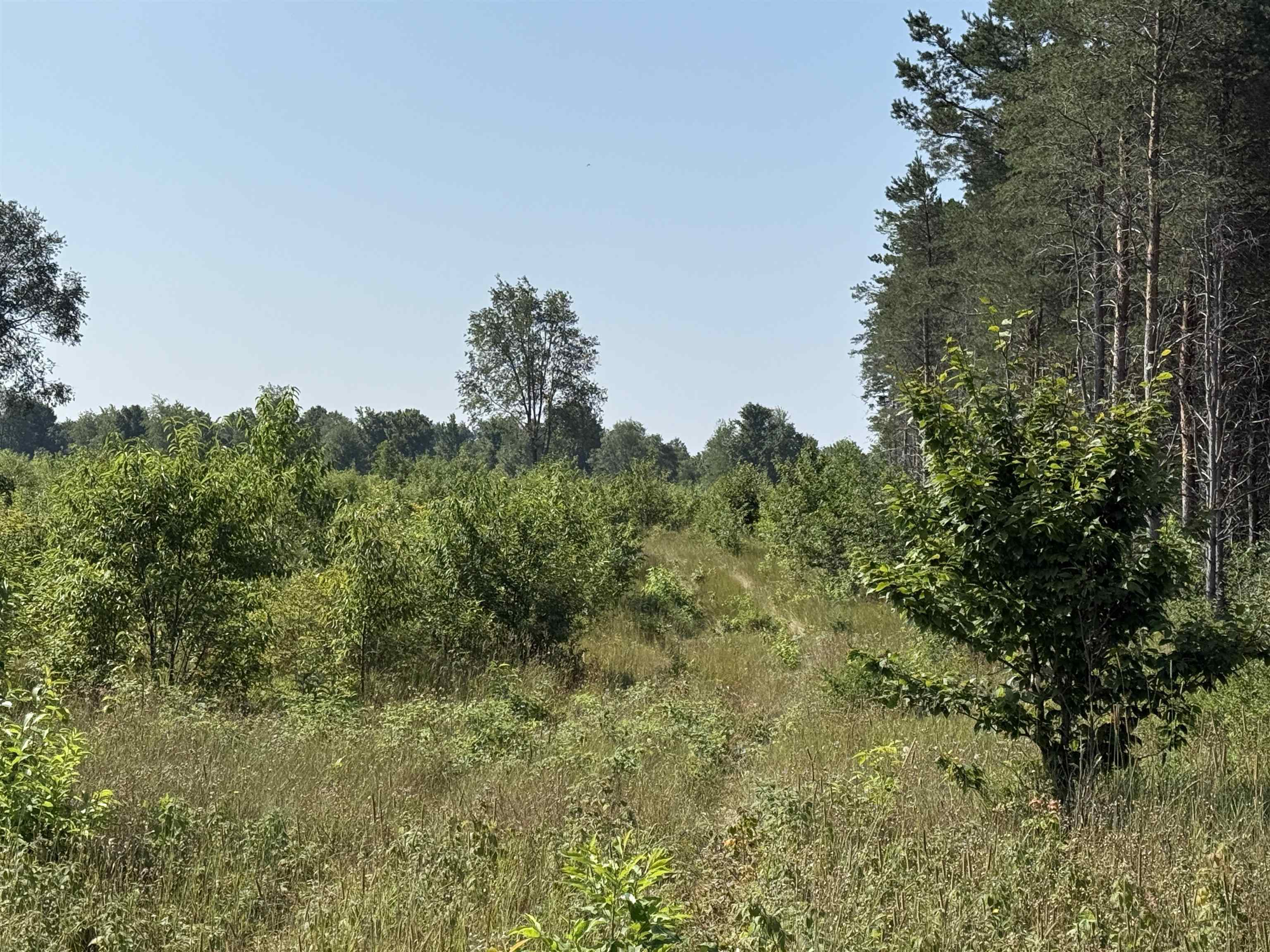 Parcel A 1 E Kasson Road Property Photo 8
