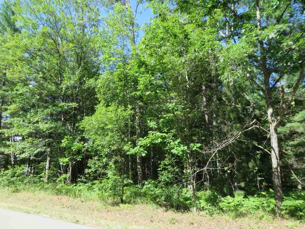 2043 E Log Lake Road Property Photo 1