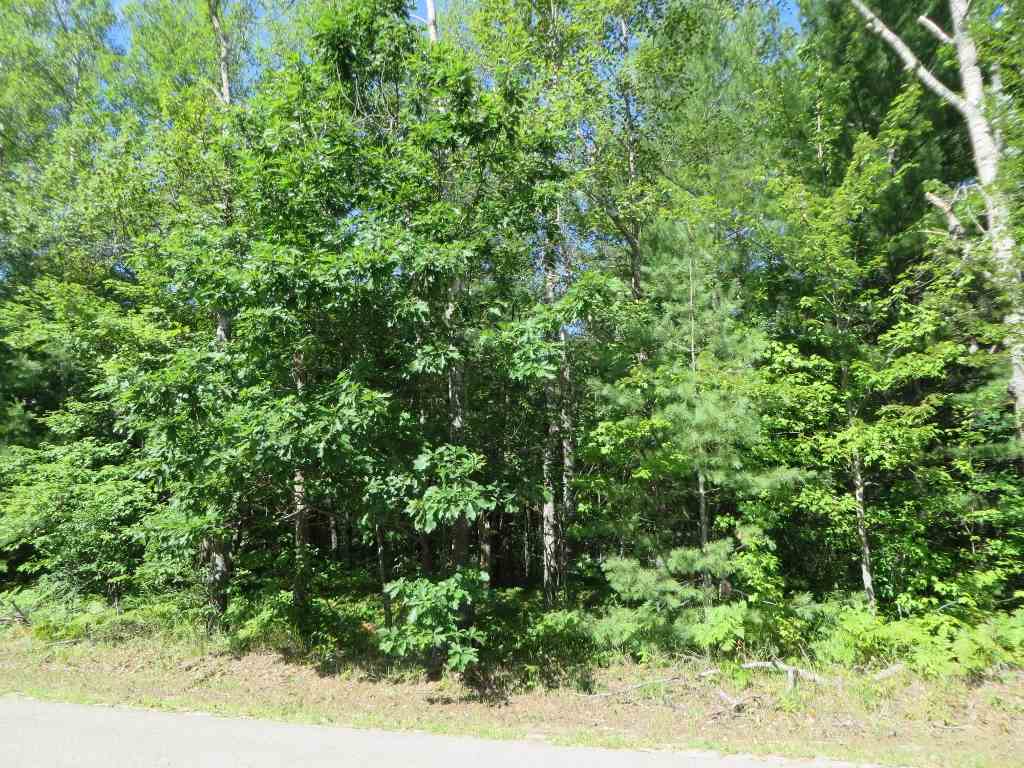 2065 E Log Lake Road Property Photo 1