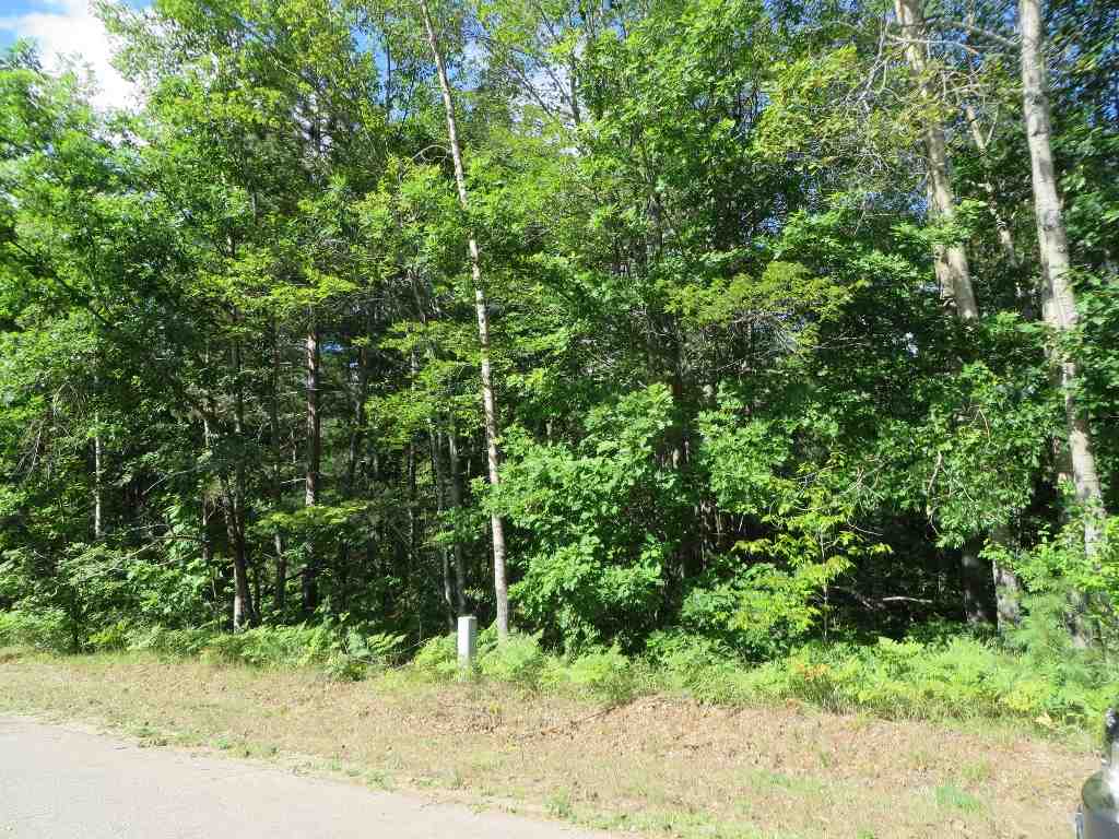 2089 E Log Lake Road Property Photo 1
