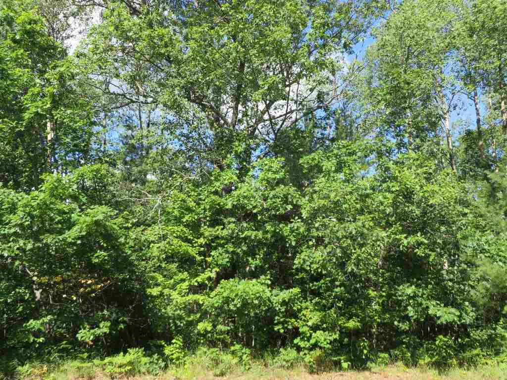 2143 E Log Lake Road Property Photo 4