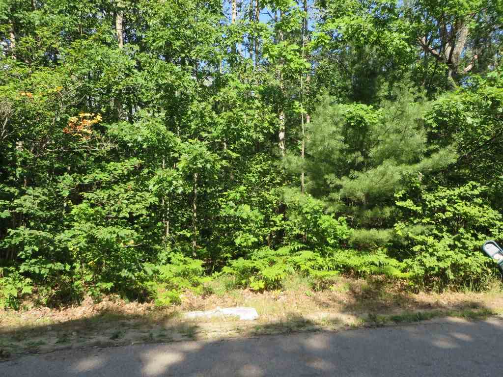 2143 E Log Lake Road Property Photo 7