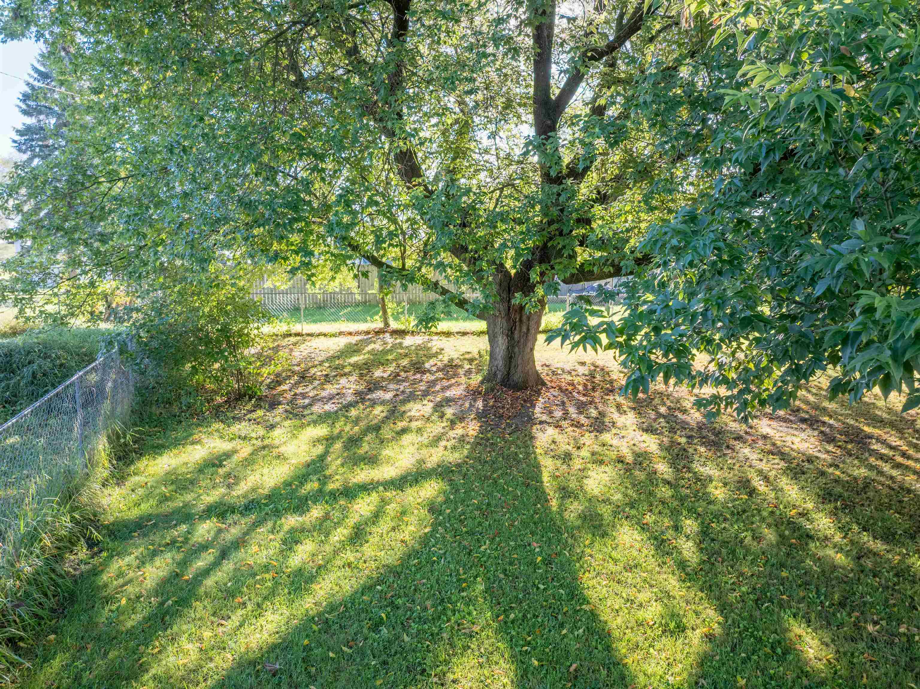 1667 Ewing Street Property Photo 58