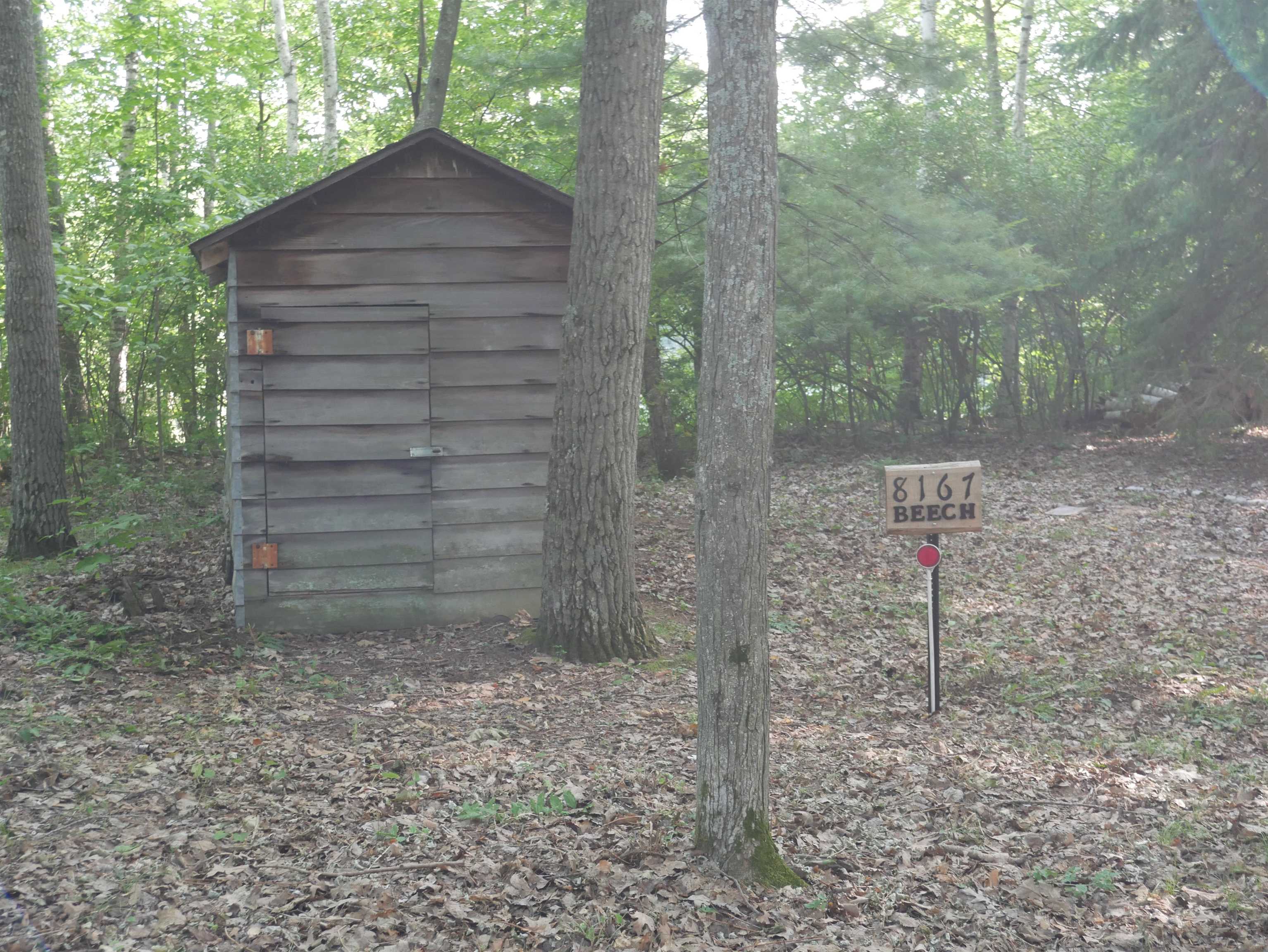 8167 Beech Property Photo 11