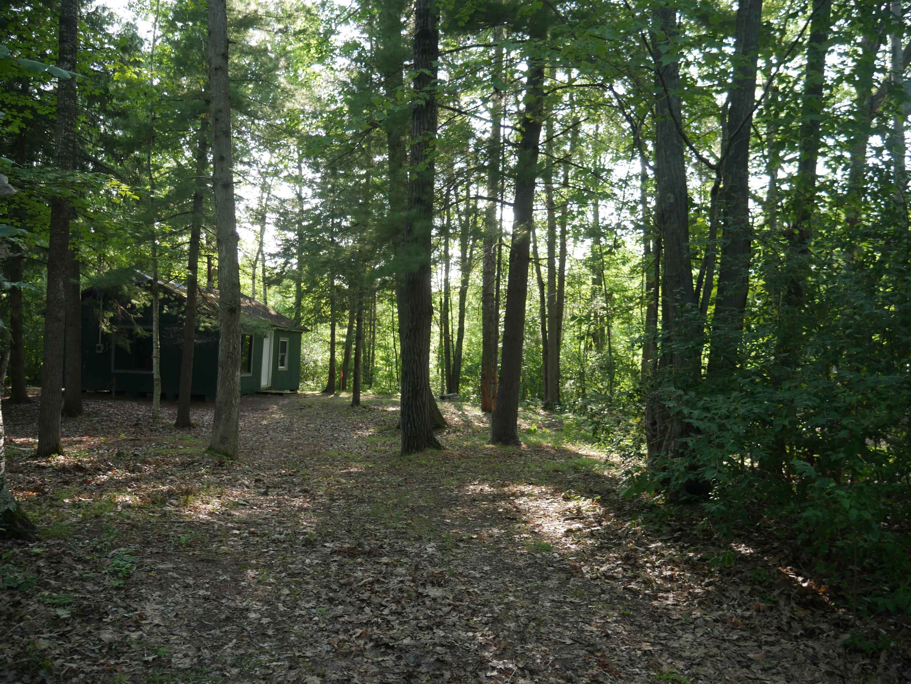 8167 Beech Property Photo 12