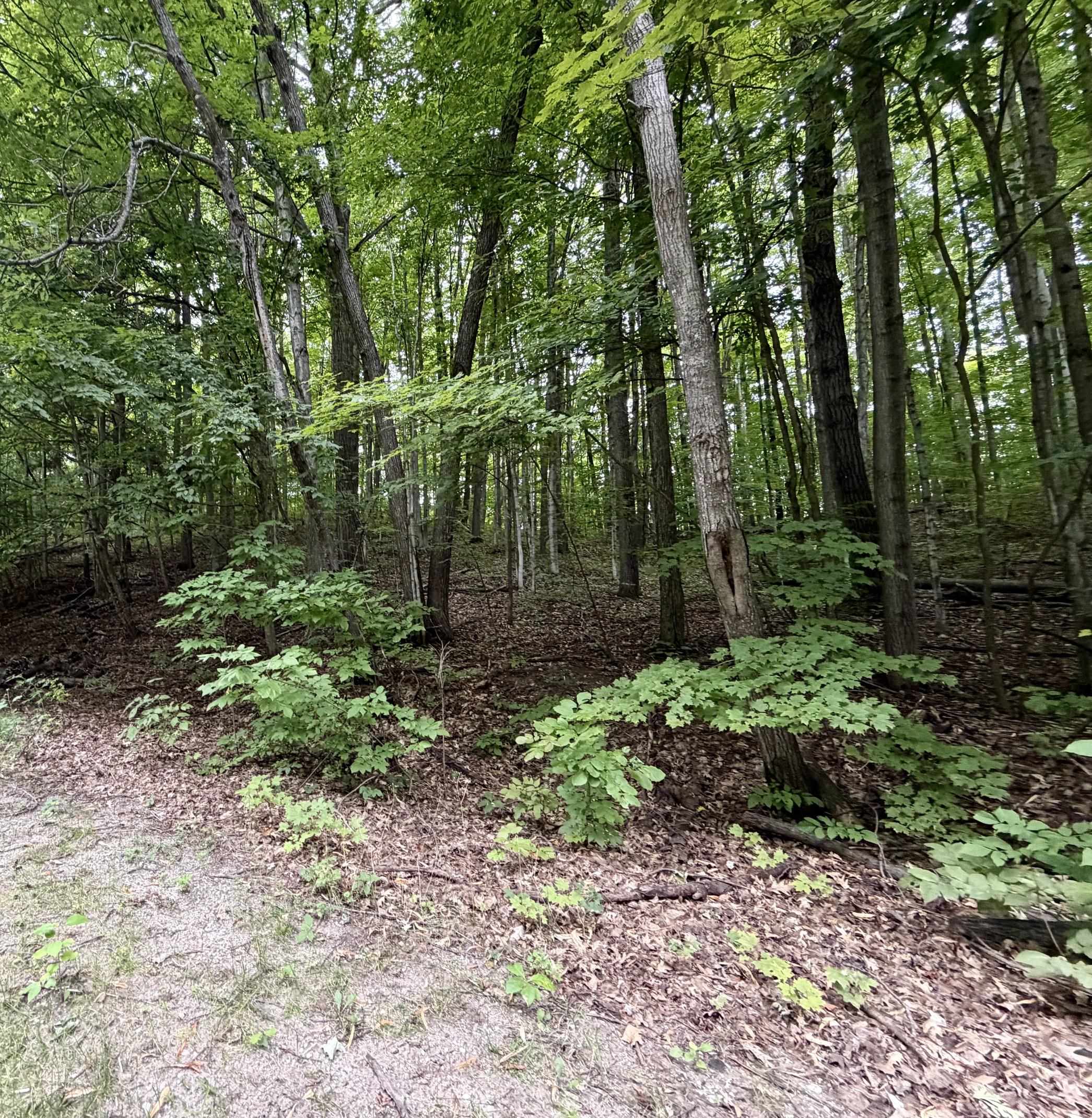 0000 Wasservalden Property Photo 3
