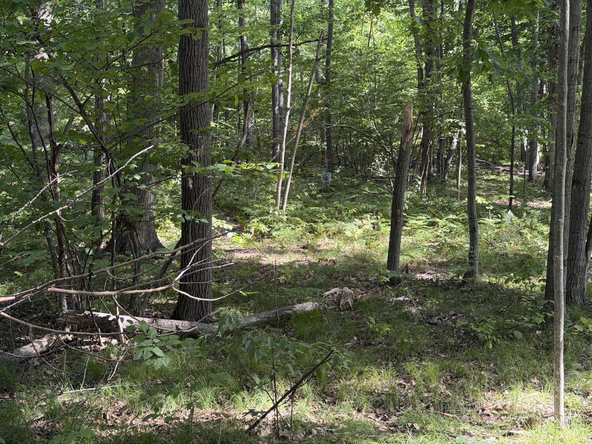 7785 Arrowhead Drive Property Photo 1