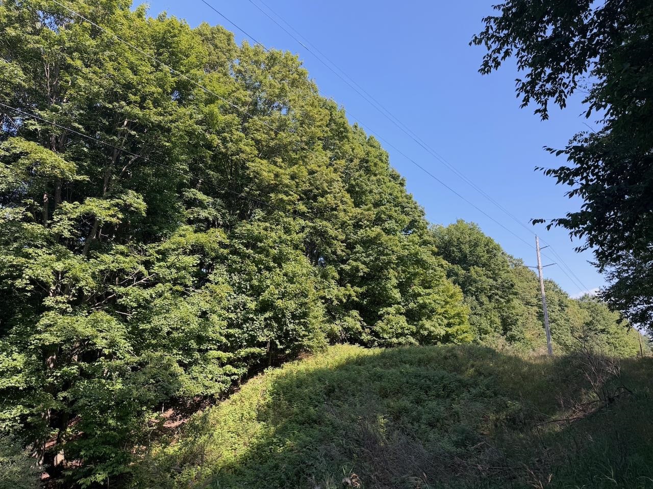 Unit 14 Ranch Drive Property Photo 1