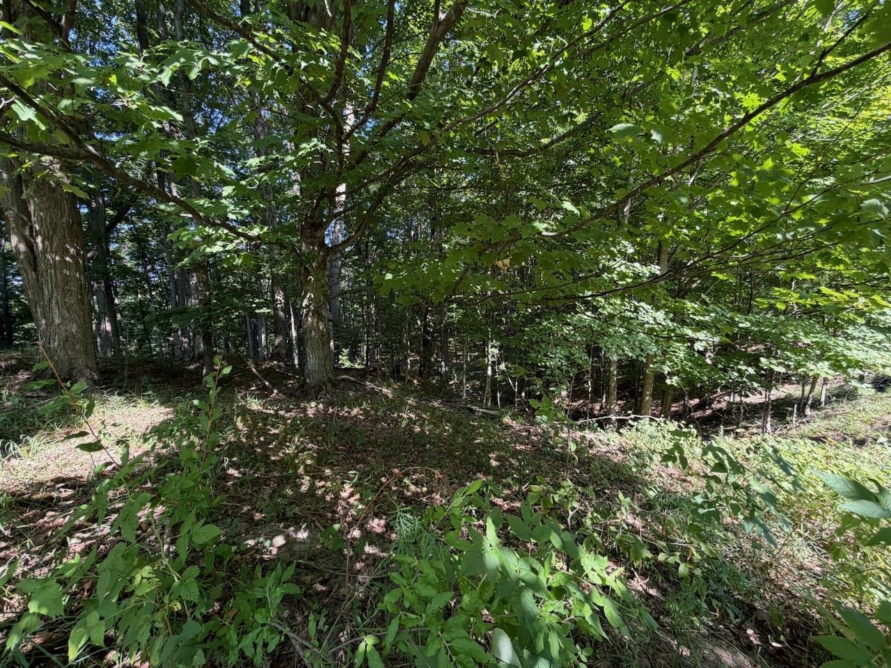 Unit 14 Ranch Drive Property Photo 10