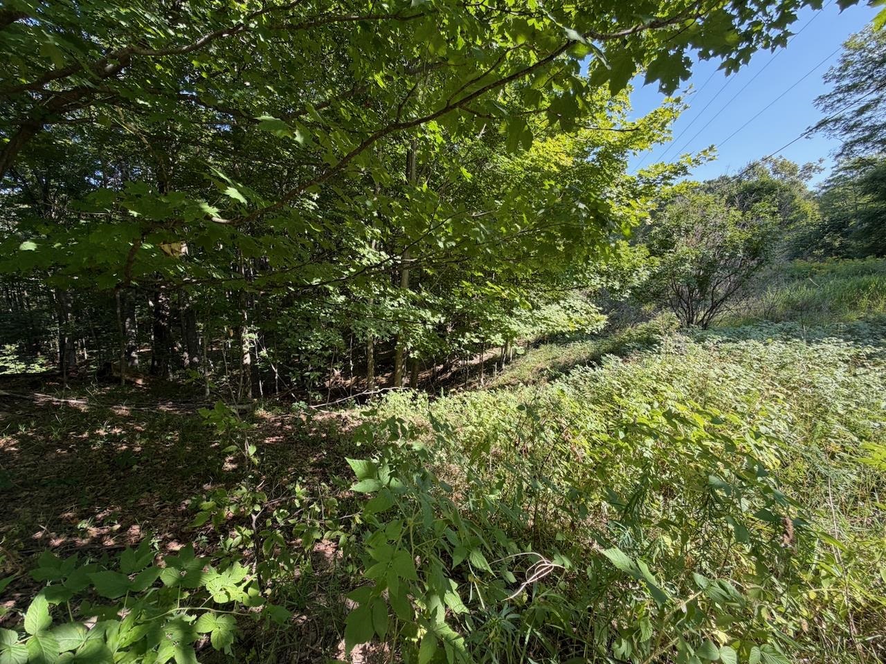 Unit 14 Ranch Drive Property Photo 11