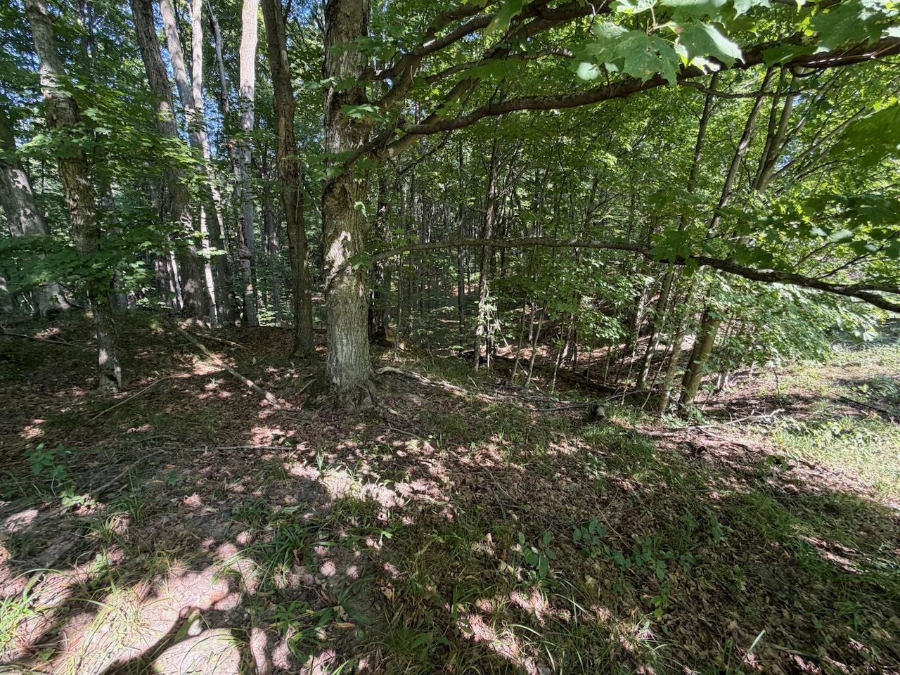 Unit 14 Ranch Drive Property Photo 12