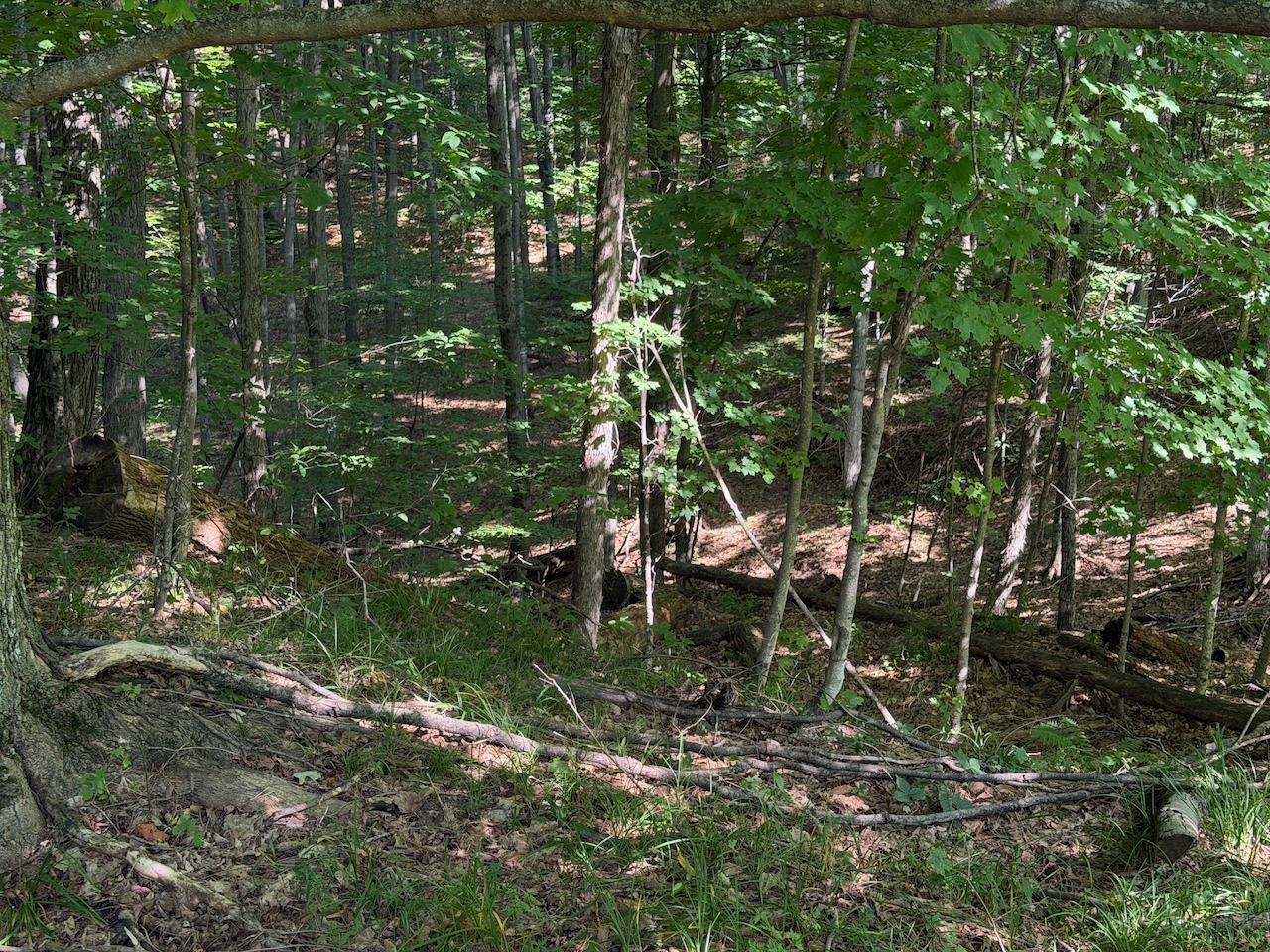 Unit 14 Ranch Drive Property Photo 13