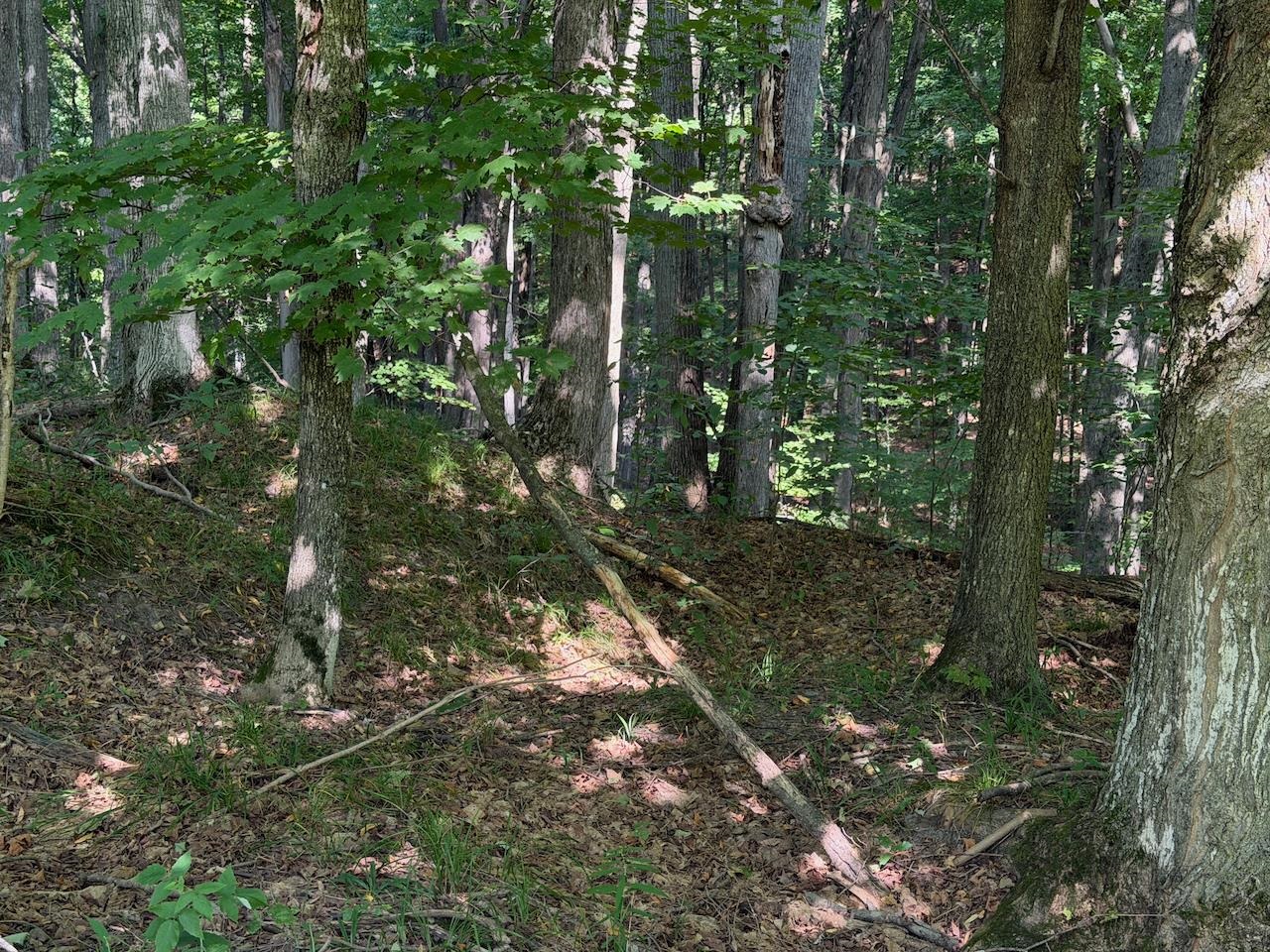 Unit 14 Ranch Drive Property Photo 14