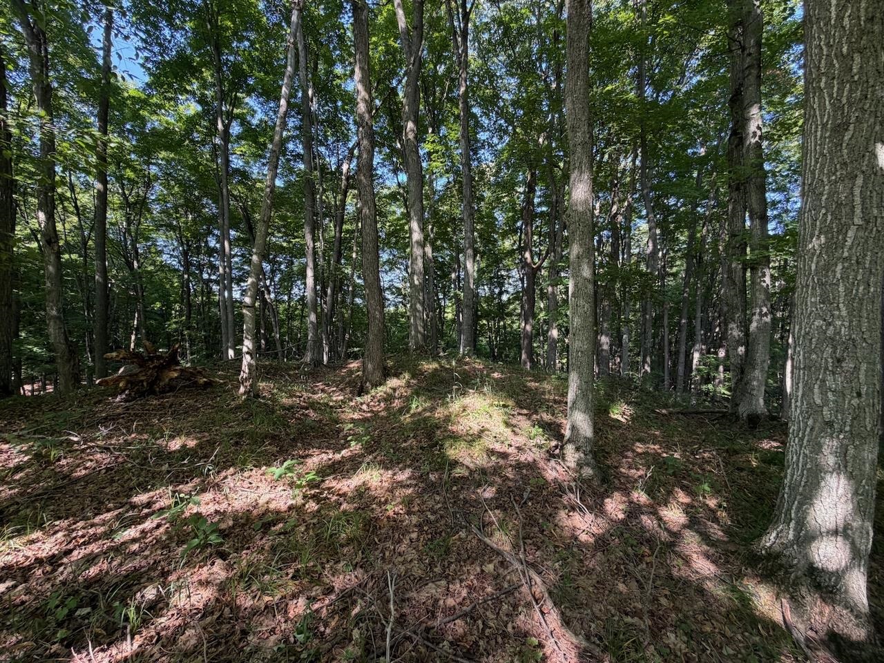 Unit 14 Ranch Drive Property Photo 15
